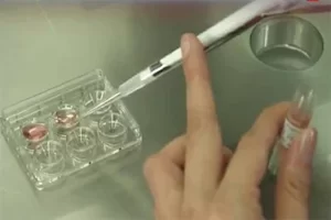 Egg Preservation Icon