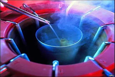 Embryo Preservation Icon